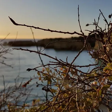 Lovers 26 אלבופיירה