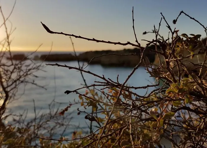 Lovers 26 알부페이라